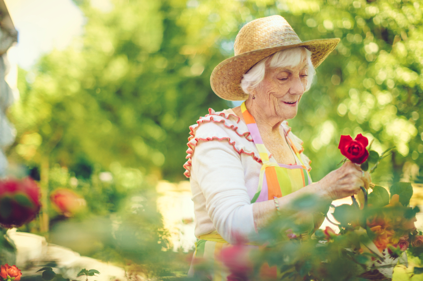 5 Ways to Avoid Joint Pain While Gardening