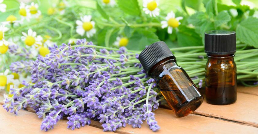 How Can Essential Oils Benefit Seniors?