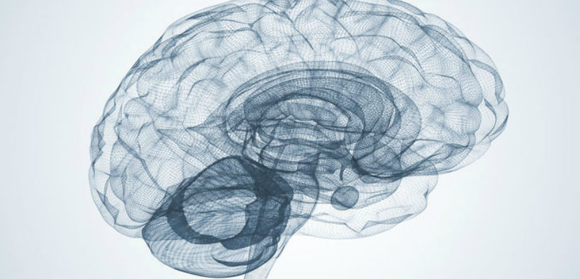 Brain Challenge Test Could Predict Alzheimer's