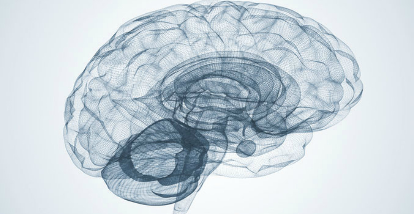 Brain Challenge for Alzheimer's