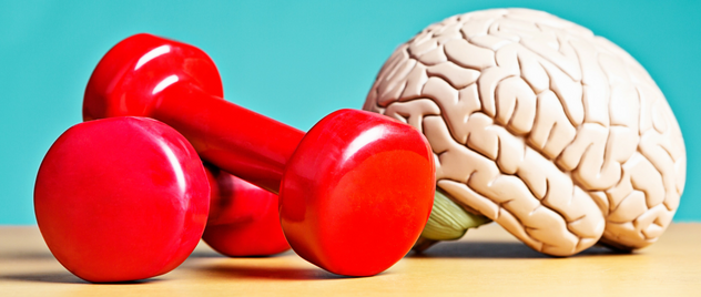 Improve Brain Fitness