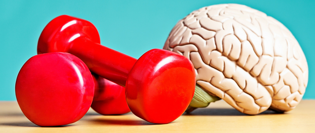 Improve Brain Fitness Tips