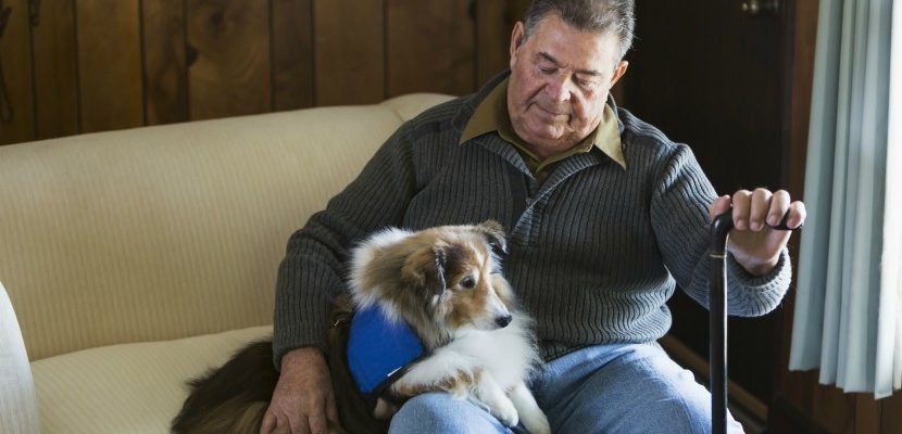 Therapies to Help with Aging