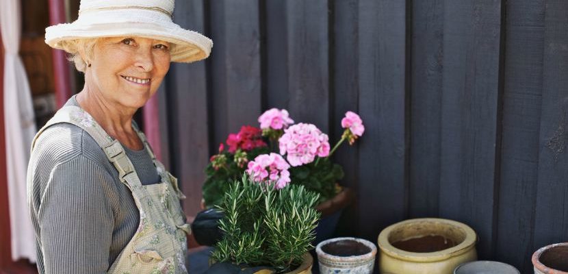 Easy to Grow Plants for Seniors