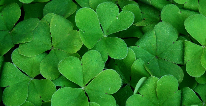 St. Patrick’s Day Traditions Sure to Bring You Luck