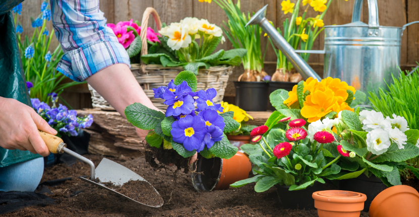 The Mental Health Benefits of Gardening
