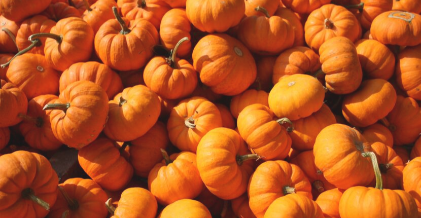 The 6 Benefits of Pumpkin