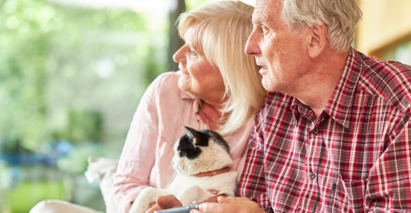 The Best Pet Companions for Seniors