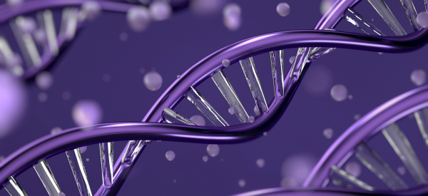 Alzheimer's APOE4 gene
